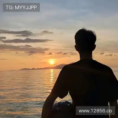 陈晓宏